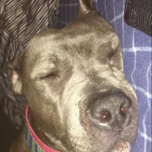 Meet your Posher, Lance